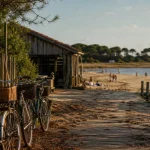 Île d’Oléron : vélos près de la plage depuis La Rochelle