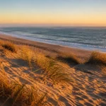 Les plus belles plages de l'ile de ré : côte ouest au golden hour