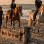 Balade à cheval sur la plage à La Rochelle : prix et cavaliers sur le sable