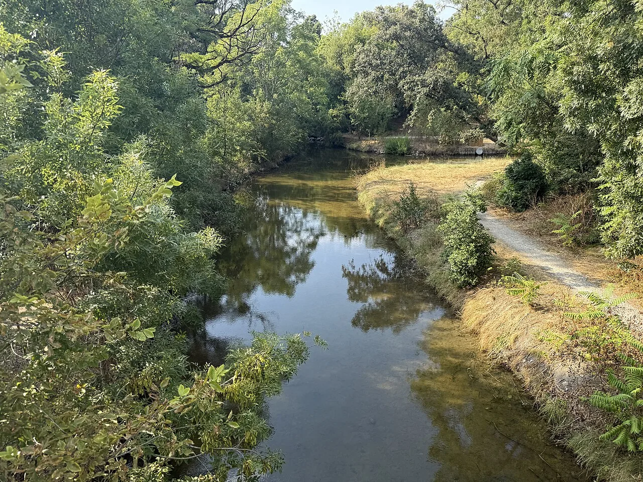 Cours d’eau du parc Charruyer